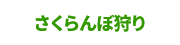 宮本農園 さくらんぼ狩り